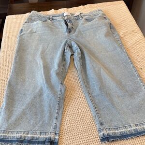 Women’s Plus Size Lane Bryant Light Blue Denim Wide Leg Ankle Jeans